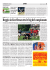 22 Giugno - Informazione di Reggio