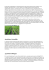 2CT-uda geografia AGRICOLTURA SOSTENIBILE