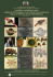 ulisse aldrovandi libri e immagini di storia naturale nella prima età