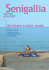 mag/giu 2007 - Comune di Senigallia