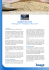 BOARD in Riso Scotti Management Intelligence Riso Scotti