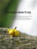 POKÈMON (DON`T) GO