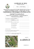 A.AR09.D - Comune di Rho
