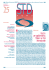 STD News 15