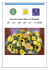 italia news seconda parte 2014-2015