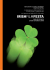 irishFIlmfesta