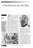 Leggi l`articolo in formato pdf