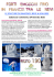 LE SCULTURE DI GHIACCIO E NEVE di VALLOIRE