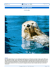Scarica pdf - Viaggia con Stile