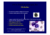 Helicobacter pylori - Fisiokinesiterapia