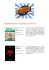 bibliografia_sbang