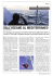 Bolina - corsi per skipper