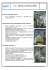 depallettizzatore - Mion Costruzioni Meccaniche Srl