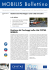 MOBILIS Bollettino - CIVITAS Initiative