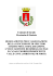 REGOLAMENTO CONCESSIONE SPECCHIO