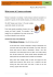 Money Matters - Programma LLP
