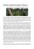 leggi articolo