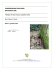 Copia di RELAZIONE COMPRENSORIO-4