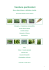 Verdure particolari