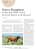 Razza Reggiana - IZ Informatore Zootecnico