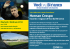 Hernan Crespo