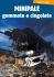 gommate e cingolate