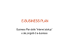 8 - E-business Plan