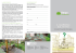 PDF IL GIARDINO SUL TETTO - tutto quello che avreste