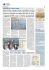 Scaricate il PDF