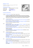 Curriculum Vitae di Melani Traini