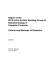 Report of the ICCR Joint Ad Hoc Working Group on Nanotechnology