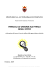 Pericoli di origine elettrica - Provincia Autonoma di Trento