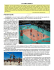LA PALLAVOLO - Istituto Comprensivo di Noale
