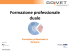Formazione professionale duale