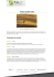 PERU ADVENTURE - Ruta 40 Tour Operator