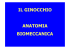 Presentazione di PowerPoint