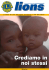 Scarica il PDF - Rivista Lions