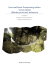 Cave and Karst Prospecting within Seram Island (Maluku province