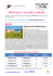 locandina speciale vacanze lunghe