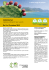sardegna cd cuneonovità!
