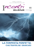 Numero 44: La tempesta perfetta che travolge i bancari