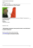 Un Italia scandalosa nel Web Design?