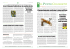 Il Punto Coldiretti 1 2015_Layout 1