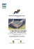 Regolamento 11° Meeting Mosaico