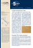 Newsletter n°1 - Novembre 2014 “In 5 minuti”