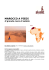 marocco a piedi