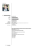 Curriculum Formato Europeo Aggionato WORD - Copia