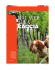 Caccia e cani - Il bracco italiano.net