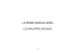 08 Archivo - e-Learning