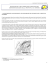 sintesi delle caratteristiche geologiche e geomorfologiche della